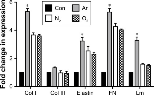 Figure 5 Gene expression of ECM markers by the human dermal fibroblasts on plasma-modified scaffolds using RT-qPCR.Notes: Gene expression confirmed the upregulation of ECM markers significantly on the Ar-modified scaffolds after 14 days compared with other scaffolds (*P<0.05). All scaffolds were treated with 5 minutes of respective plasma surface modification. Fold change represents the differences compared with housekeeping gene GAPDH of cells grown on unmodified scaffolds (Con). *P<0.05.Abbreviations: Ar, argon; Col I, collagen type I; Col III, collagen type III; Con, untreated; ECM, extracellular matrix; FN, fibronectin; Lm, laminin; N2, nitrogen; O2, oxygen; RT-qPCR, real-time quantitative polymerase chain reaction.