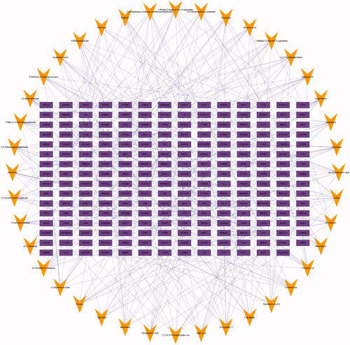 Figure 3. Compound-target network for QRHX. The purple rectangles represent targets; the orange triangle represent QRHX compounds.