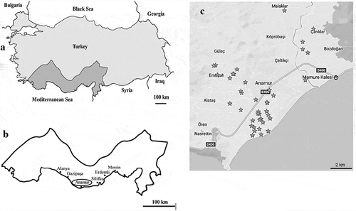 Fig. 1 Distribution of Pectobacterium carotovorum subsp. carotovorum (Pcc) in the Mediterranean coast of Turkey. (a) Map of Turkey, (b) Banana-producing areas in Turkey, (c) Survey areas in Anamur province. The asterisks indicate the specific locations of the wet rot disease detected.