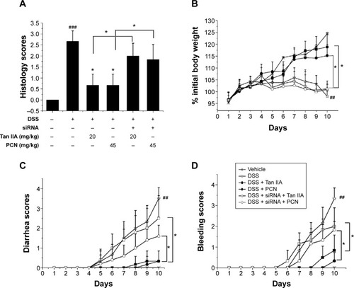 Figure 9 Comparison of clinical symptoms of dextran sulfate sodium (DSS)-induced inflammatory bowel disease (IBD) treated with 20 mg/kg Tan IIA or 45 mg/kg PCN in WT and PXR siRNA-treated mouse model.