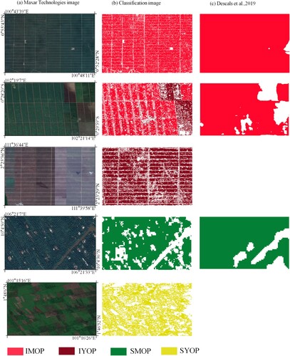 Figure 11. Comparison of classification results of oil palm subclasses (IMOP, IYOP, SMOP, SYOP) with those (IMOP, SMOP) of Descals et al. (Citation2019): (a) high-resolution Maxar Technologies image base. (b) oil palm subclasses from this study. (c) taxonomic oil palm subclasses (IMOP, SMOP) of Descals et al. (Citation2019).