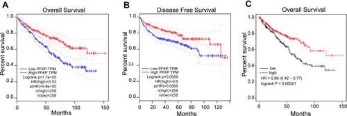 Figure 2 Relationship between PFKP expression levels and patient survival in ccRCC. Kaplan-Meier OS curve (A) and DFS curve (B) were shown in GEPIA; The patients were grouped by PFKP media cutoff. Curves of OS (C) were generated from the Kaplan-Meier Plotter website; The patients grouped by PFKP auto-select the best cutoff.