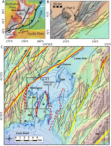 Figure 1. A, Pacific–Australian plate boundary through central New Zealand. B, Crustal (black) and subduction interface (red) fault sources in the NSHM (Stirling et al. Citation2012). C, Fault structure of the Wellington Harbour/Te Whanganui a Tara and surroundings (modified from 1:50 000 map; Begg and Mazengarb Citation1996). Major active faults are shown as thick red lines. Faults considered likely to be active are red dashed lines. Other faults are shown as thinner black lines. Yellow lines are fault sources in the NSHM (Stirling et al. Citation2012). Fault labels include: SGF, Shepherd’s Gully Fault, WVF, Whitemans Valley Fault, MTRF, Moonshine-Takapu Road Fault, KF, Khandallah Fault, LF, Lambton Fault, TF, Terrace Fault, HVF, Happy Valley Fault, EBF, Evans Bay Fault, SF, Seatoun Fault, PGF, Point Gibson Fault; PDF, Point Dorset Fault; EHF, East Harbour Fault. Note (1) the MTRF was considered active by Litchfield et al. (Citation2013), (2) the PGF and PDF were considered active by Huber (Citation1992), and (3) the fine black trace of the EBF is from Huber (Citation1992). Geographic locations: LH, Lambton Harbour, LB, Lyall Bay, M, Miramar Peninsula/Te Motu Kairangi, N, Ngauranga, IB, Island Bay, MV, Mount Victoria/Matairangi, MA, Mount Albert, RR, Rimutaka/Remutaka Range, SMI, Matiu/Somes Island, HR, Hutt River/Te Awakairangi.