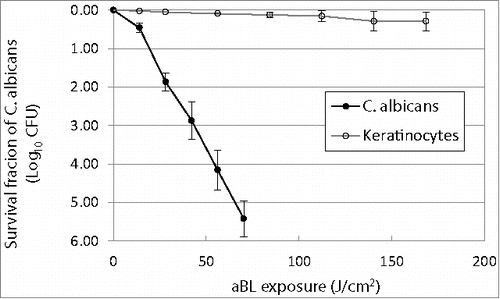 Figure 1. Antimicrobial blue light inactivation of C. albicans and human keratinocytes in vitro. Bars: standard deviation. The mean inactivation rate coefficients (kH) of C. albicans and keratinocytes were 0.0795 and 0.0019 cm2/J, respectively, indicating an approximately 42-fold faster inactivation rate of C. albicans by aBL than keratinocytes.