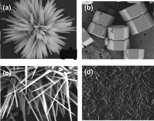 Figure 2. Different structures of ZnO: (a) flower, (b) rods, (c,d) wires. Images reproduced with permission from reference.[Citation54].
