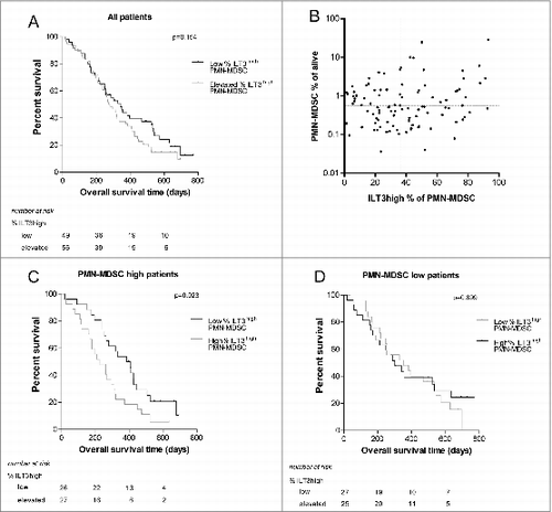 Figure 6. NSCLC patient survival based on ILT3 fractions of MDSC. (A) Survival of patients with an elevated percentage of ILT3high PMN-MDSC versus patients with a low percentage of ILT3high PMN-MDSCs. The survival curves were not significantly different. (B) No correlation was found between the level of total PMN-MDSCs and the percentage of ILT3high PMN-MDSCs (Spearman rho; P = 0.38). For the curves in panels C and D, patients were divided based on the frequency of PMN-MDSC and the percentage of ILT3high PMN-MDSCs. Cutoff values were the median value of all patients to create equally sized groups. (C) In patients with high levels of PMN-MDSC, the fraction of ILT3high cells correlated significantly with overall survival. (D) In patients with low levels of PMN-MDSC, the percentage of ILT3high PMN-MDSCs did not significantly contribute to overall survival. The curves were compared with a log-rank test, stratified for treatment arm. ILT3, immunoglobulin-like transcript 3; PBMC, peripheral blood mononuclear cells; MO-MDSC, monocytic myeloid-derived suppressor cell; PMN-MDSC, polymorphonuclear myeloid-derived suppressor cell.