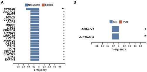 Figure 5 Gene mutations that are differentiated between non-spindle and spindle PSC, between mix and pure PSC. (A) Gene mutations that are differentiated between non-spindle and spindle PSC. (B) Gene mutations that are differentiated between mix and pure PSC. *:p < 0.05; **: p < 0.01.