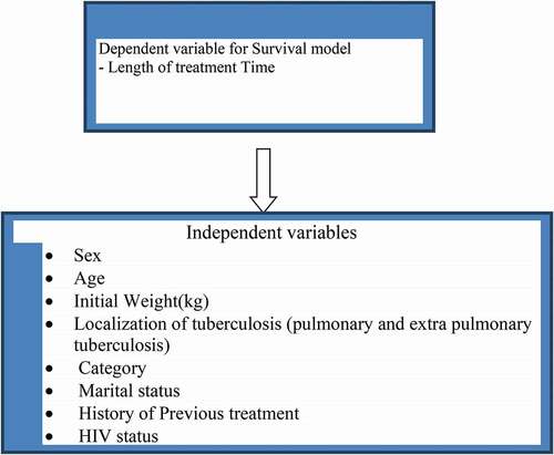 Scheme 1. Schematic/diagrammatic representation of survival model for tuberculosis patients