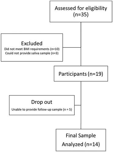 Figure 1. CONSORT Flow diagram.