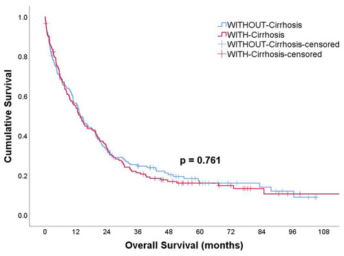Figure 2 Survival curve for lung cancer patients with and without cirrhosis. There was no statistically significant difference in survival for WITH-Cirrhosis and WITHOUT-Cirrhosis lung cancer patients. The median overall survival for patients WITH-Cirrhosis was 13.07 months (95% CI 10.56–16.84) compared to 13.67 months (95% CI 10.42–16.91) for patients WITHOUT-Cirrhosis, p=0.76.