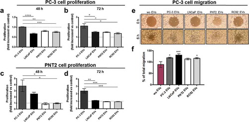 Figure 6. EVs from the metastatic PCa cells induce proliferation and migration in prostate cells. Cells were incubated with 109 EVs derived from PC-3, LNCaP, PNT2 and RC92a/hTERT cells or without (wo) EVs for the indicated times. The proliferation of (a,b) PC-3, and (c,d) the PNT2 cells, was measured using the CFSE-cellular staining by flow cytometry. The results are presented as the proliferation fold change compared to the control without EVs. Bars represent mean ± SEM from three independent experiments. *p < 0.05, **p < 0.01, ***p < 0.001, ****p < 0.0001, one-way ANOVA with Tukey’s multiple comparisons test. (e,f) Migration of PC-3 cells was monitored until gap closure at 6 h in cells incubated with PC-3, LNCaP, RC92a/hTERT, and PNT2-derived EVs or without EVs. Representative images show gap size at 0 and at 6 h (10× magnification, scale bar 200 μm). The percentage (%) of total migration of PC-3 cells after addition of EVs or in untreated control without EVs was calculated. Bars are mean ± SEM from six independent experiments. *p < 0.05, ***p < 0.001, one-way ANOVA with Dunnett’s multiple comparisons test.