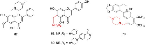 Figure 5. Compounds 67–70 for antidiabetic activity.