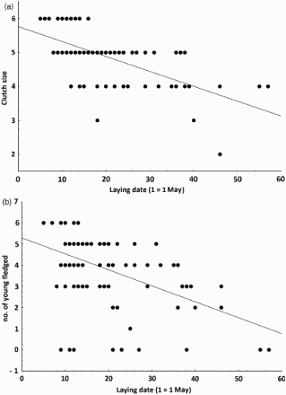 Figure 2. Relationship between LD and both CS (a) and number of young fledged (b) in the Atlas Pied Flycatcher in 2010–2012. The regression equations are (a) CS = 5.76–0.044 LD and (b) number of young fledged = 5.29–0.0753 LD.