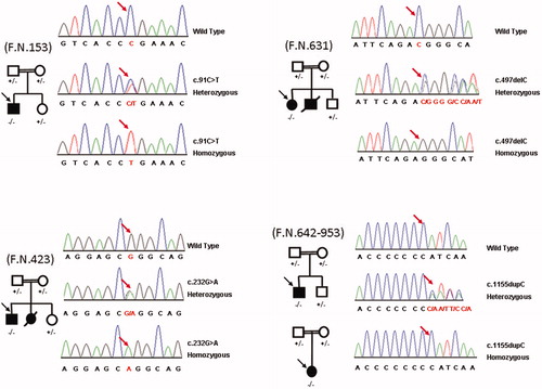 Figure 1. Pedigrees along with segregation of identified mutations. Electropherograms of each mutation is provided.