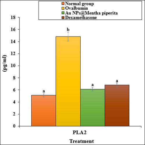 Figure 6. The effect of Au NPs@Mentha piperita on PLA2 parameter in ovalbumin-induced asthmatic rats.