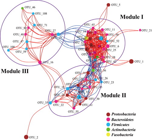 Figure 2. Network of co-occurring OTUs based on correlation analysis.Note: The selection standards for strong and significant correlation are Spearman’s r > 0.6 and p < 0.05, respectively. The size of each node is proportional to the relative abundance; the colour and thickness of each connection between two nodes (edge) is proportional to the value of Spearman’s correlation coefficients. Blue lines show negative correlation between two nodes; red lines show positive correlation between two nodes.