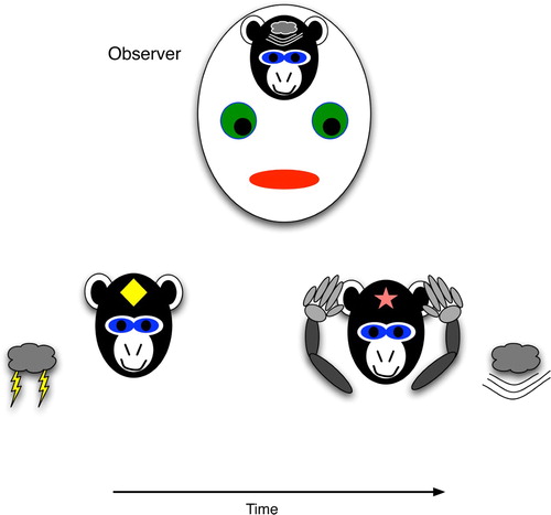 Figure 2. Procedural prediction, wherein the agent's actions indicate specific knowledge of a future world state, even though the agent (monkey) has no explicit brain state that strongly correlates with the world state. The agent's ear-covering behaviour can easily lead an observer to infer that the agent has the strongly correlated brain state, i.e. explicit knowledge of the upcoming thunder.