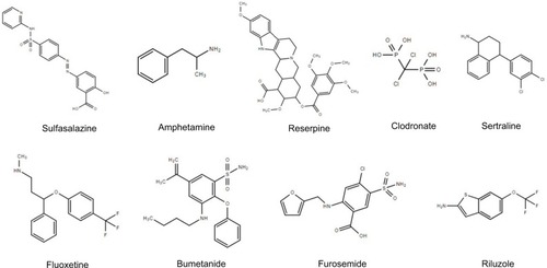 Figure 2 Small molecule modulators of SLC proteins with anticancer potential.Abbreviation: SLC, solute carrier.