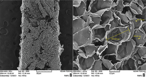 Figure 2. SEM images of cork/SrTiO3 composite fiber.