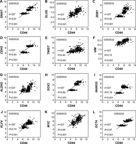 Figure 6 CD44 expression was associated with stem cell and EMT markers.