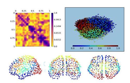 Figure 7 SBSGM estimation on the human brain functional coactivation network (top right, coloring referring to Ûi∈[0,1]). The estimate of wζ(·,·) (in log scale) is depicted at the top left. The three bottom plots show the local positions of the human brain regions in anatomical space (from left to right: side, front, and top view) with coloring referring to Ûi∈[0,1].