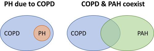 Figure 1 Potential explanations for severe pulmonary hypertension in COPD. Hypothetically, in patients with COPD, severe pulmonary hypertension (PH) may occur as a consequence of an aggressive form of pulmonary vascular disease (PH due to COPD), or because there is a co-existing pulmonary arterial hypertension.