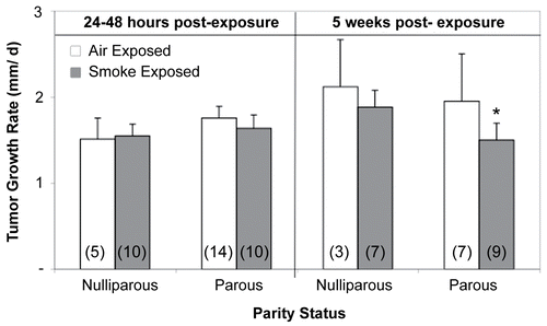 Figure 5.  Effects of cigarette smoke (CS) and parity status on tumor growth rate. *Significantly decreased (p < 0.05) from time-matched air-exposed parous and nulliparous groups. Values represent the mean (n = 3–14 mice/exposure group) ± SE. Values determined from those mice demonstrating palpable tumors. (n) = Number of EL4-injected mice with palpable tumors.