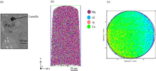 Figure 9. APT analysis of the flux region. (a) SEM micrograph showing the position of lamella for the prepared APT tip. (b) The reconstructed volume showing the distribution of different elements. (c) The desorption map.