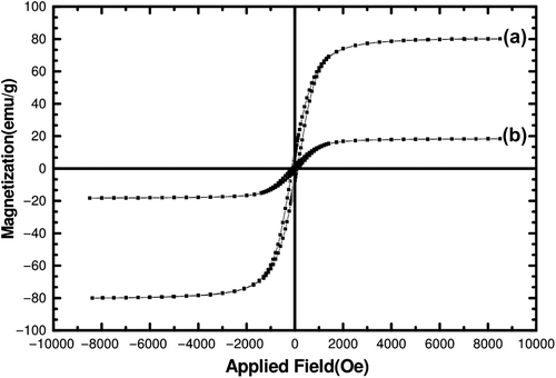 Figure 8. Magnetic properties of a) Fe3O4 MNPs, and b) P (NIPAAM-MAA-HEM) drug-loaded hydrogel nanocomposite.