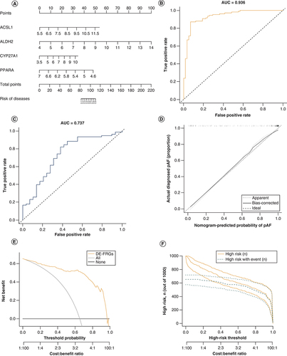 Figure 4. Nomogram, receiver operating characteristic curves, clinical impact curve and decision curve for 4-differentially expressed fatty acid metabolism related gene risk model.(A) Nomogram for the 4-DE-FRG risk model. (B) ROC curves of the train set. (C) ROC curves of the test set. (D) Calibration. The disease probabilities predicted by the nomogram are plotted on the x-axis, and the actual disease probabilities are plotted on the y-axis. (E) Decision curve. The abscissa of this graph is the threshold probability, and the ordinate is the net benefit. (F) Clinical impact curve. The green curve indicates the number of people classified as positive (diseases) by the model at each threshold probability; the orange curve is the number of true positives at each threshold probability.AUC: Area under the curve; DE-FRG: Differentially expressed fatty acid metabolism related gene; ROC: Receiver operating characteristic.