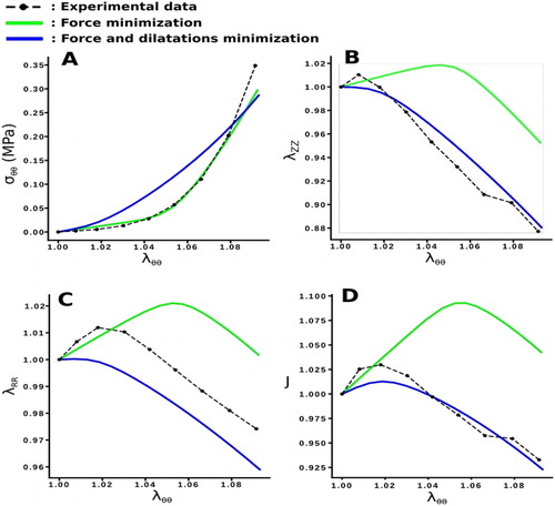 Figure 1. Comparison of model predictions for two different cost functions (A. Stress in the direction of traction, B. Vertical dilatation, C. Radial dilatation and D. Volume change).