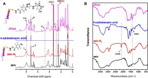 Figure 3 (A) Proton nuclear magnetic resonance and (B) Fourier transform infrared spectra of zein, zein-N3, 4-azidobenzoic acid, and poly (L-aspartic acid)-grafted zein.