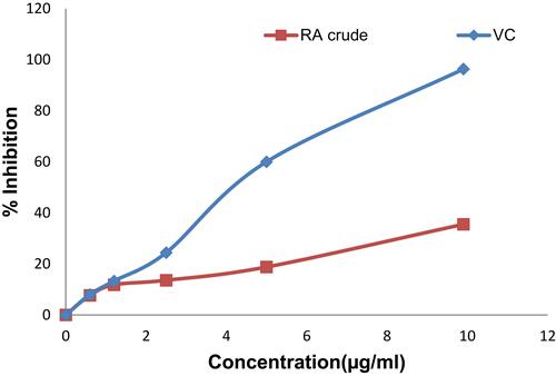 Figure 1 DPPH radical scavenging activity of different concentrations of dried rhizomes of R. abyssinicus crude extract (RA-crude) and vitamin C (VC).