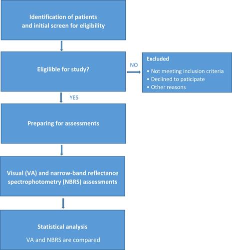 Figure 1 Flowchart of study design. Research design for the evaluation of erythema and hyperpigmentation in localized scleroderma lesions.