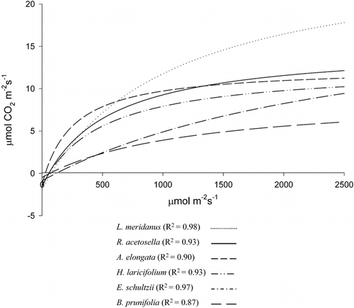 FIGURE 1. Net CO 2 exchange for the wet season (μmol CO 2 m−2 s−1) as a function of the photosynthetically active radiation (irradiance: μmol photons m−2 s−1) as predicted by a rectangular hyperbola model fitted through least squares regression (see R2 values). The species in the legend appear in the same order as their corresponding light response curve