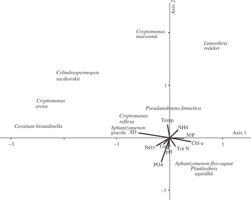 Fig. 6. Ordination diagram for Canonical Correspondence Analysis of the phytoplankton assemblages in Lake Bnińskie.