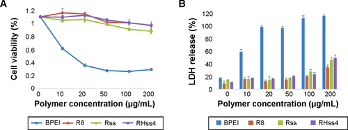 Figure S5 Comparison of the cytotoxicities of R8, Rss, RHss4, and BPEI on HeLa cells.Notes: (A) CCK-8 assay. (B) LDH release assay. Data are expressed as mean ± SD (n=3).Abbreviations: BPEI, branched polyethylenimine; CCK, Cell Counting Kit; LDH, lactate dehydrogenase; RHss, reducible chimeric polypeptide containing two functional peptides: octa-d-arginine and tetra-l-histidine peptides; Rss, single cross-linked R8 peptide; SD, standard deviation.