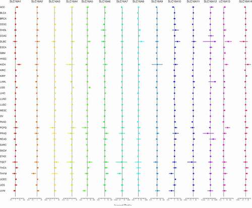 Figure 5. Considering that the survival analysis was influenced by multiple variables of the patient, univariate Cox regression was performed to reduce the influence of other variables. Association of SLC16 family expression with patient overall survival for different cancer types. The forest plots with the hazard ratios and 95% confidence intervals for overall survival for different cancer types to show survival advantage and disadvantage with increased gene expression of the SLC16 family. Univariate Cox proportional hazard regression models were used for the association tests. Hazard ratio <1 represents low risk and hazard ratio >1 represents high risk