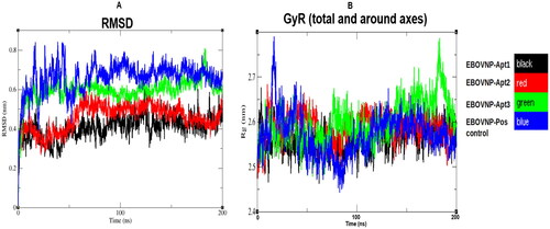 Figure 2. Trajectory analysis of the five EBOV NP-aptamer complexes over the 200 ns simulation period. A: root mean square deviation (RMSD) and B: radius of gyration (GyR) over 200 ns simulation time.