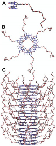 Figure 1 PEG-functionalized G∧C base (A) self assembles into a rosette (B), which in turn self-assembles into a PEG-RNT via stacking interactions (C).Abbreviations: RNT, rosette nanotube; PEG, polyethylene glycol.