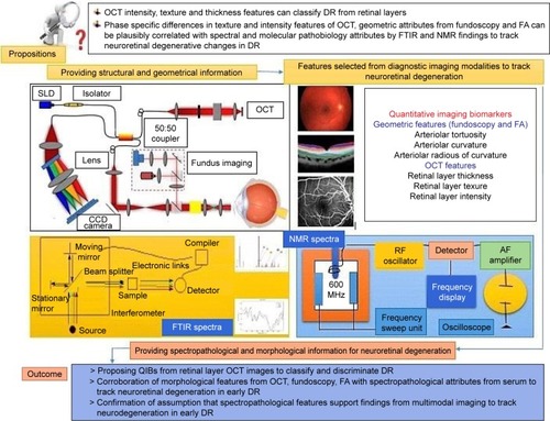 Figure 11 Representation of multimodal characterization of retinal layers with plausible spectropathological information validating the complementarity of approaches.