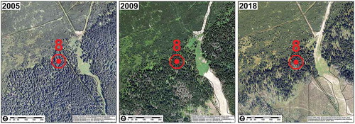 Figure 25. Aerial photographs of the locality 8 from years 2005, 2009 and 2018 (source: NAPANT, own creation)
