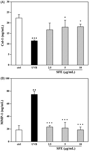 Figure 6. Effects of SFE on production of Col-1 (A) and secretion of MMP-1 (B) in UVB-irradiated fibroblasts HDF. HDF cells were pretreated with different concentrations (0, 2.5, 5 and 10 μg/mL) of SFE and irradiated with a UVB dose of 3000 mJ/cm2 every 12 h (three times in total). The control group without UVB irradiation was conducted in parallel. Cell free supernatants were analysed for Col-1 and MMP-1. Data are the mean ± SD (n = 3). ##p < 0.01 and ###p < 0.001 compared with control cells, *p < 0.05 and ***p < 0.001 compared with cells only irradiated by UVB.