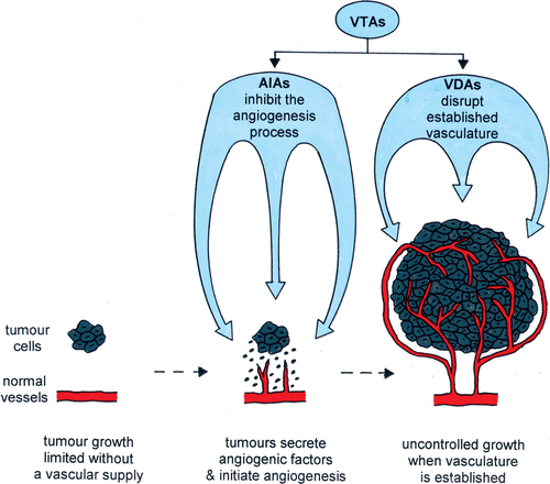 Figure 1. Schematic illustration of how the growth of most solid tumours is dependent on the development of its own neovasculature from the normal tissue vessels by the process of angiogenesis. Also shown is how vascular targeting agents (VTAs) can be used as a therapeutic approach against the tumour vasculature. They include AIAs (angiogenesis inhibiting agents) and VDAs (vascular disrupting agents), which although similar are distinctly different in their mode of action.