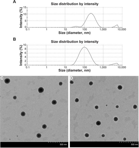 Figure 6 Particle-size distribution and transmission electron microscopy of CIT-DOC and IT-SO-DOC.Notes: (A) Particle-size distribution of CIT-DOC; (B) particle-size distribution of CIT-SO-DOC; (C) transmission electron microscopy of CIT-DOC; (D) transmission electron microscopy of CIT-SO-DOC. The average size of CIT-SO-DOC micelle was 100.80±7.21 nm, which was significantly lower than the 204.77±6.81 nm of the CIT-DOC group. The CIT-SO-DOC self-assembled nanomicelles seemed to be monodisperse spherical particles with smooth surfaces.Abbreviations: CIT, circinal–icaritin; DOC, sodium deoxycholate; SO, suet oil.