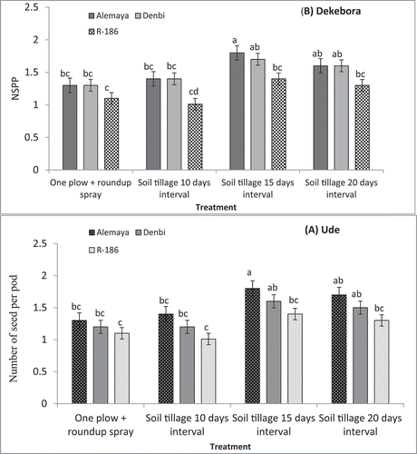 Figure 3. Number of seeds per pod as affected by soil tillage × cultivars interaction for lentil at Ude (a) and Dekebora (b) in the central highland of Ethiopia; Different letters within the figure components indicate significant differences at LSD 0.05. a-c = abc, c-e, cde