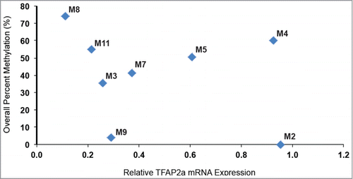 Figure 3. TFAP2A mRNA expression is associated with DNA cytosine methylation. TFAP2A mRNA expression of 8 human clinical melanoma samples was plotted against overall CpG DNA methylation of the TFAP2A promoter. The data reveal that aberrant cytosine methylation of the TFAP2A promoter is associated with reduced TFAP2A mRNA expression in these clinical melanoma samples.