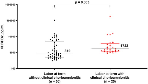 Figure 3. Plasma CHCHD2/MNRR1 concentration (pg/mL) of pregnant women at term in labor without and with clinical chorioamnionitis [819 (515-4773) pg/mL vs 1722 (1201-3757) pg/mL]. Data are reported as the median and as the interquartile range. The y-axis is in logarithmic scale.