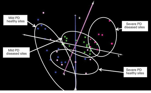 Figure 3. Correspondence analysis of healthy and diseased sites in mild or moderate-severe periodontitis. Key: mild periodontal disease (PD), healthy sites: blue; mild PD, diseased sites: green; moderate-severe PD, healthy sites: pink; moderate-severe PD, diseased sites: red. There was considerable overlap between healthy or diseased sites regardless of overall severity of periodontitis.