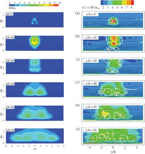 Figure 14. Contours of rms wall-normal velocity fluctuations in y-z planes (Left: present ELES, Right: experiment (Ye et al., Citation2016a)).